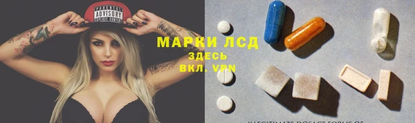 прущие грибы Богородицк