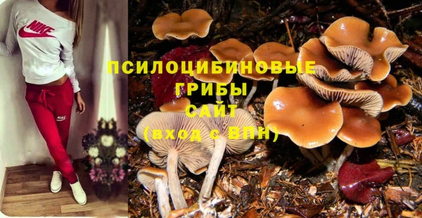 прущая мука Белоозёрский