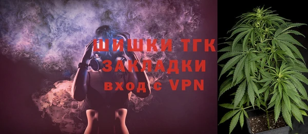 прущие грибы Богородицк