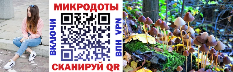 даркнет клад  Боготол  Псилоцибиновые грибы Magic Shrooms 